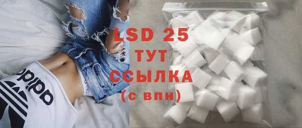 стафф Дмитриев