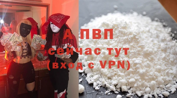 стафф Дмитриев