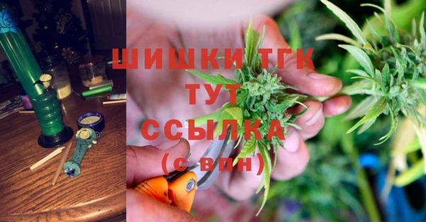 стафф Дмитриев