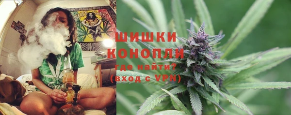 стафф Дмитриев