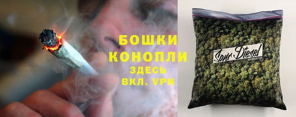 стафф Дмитриев